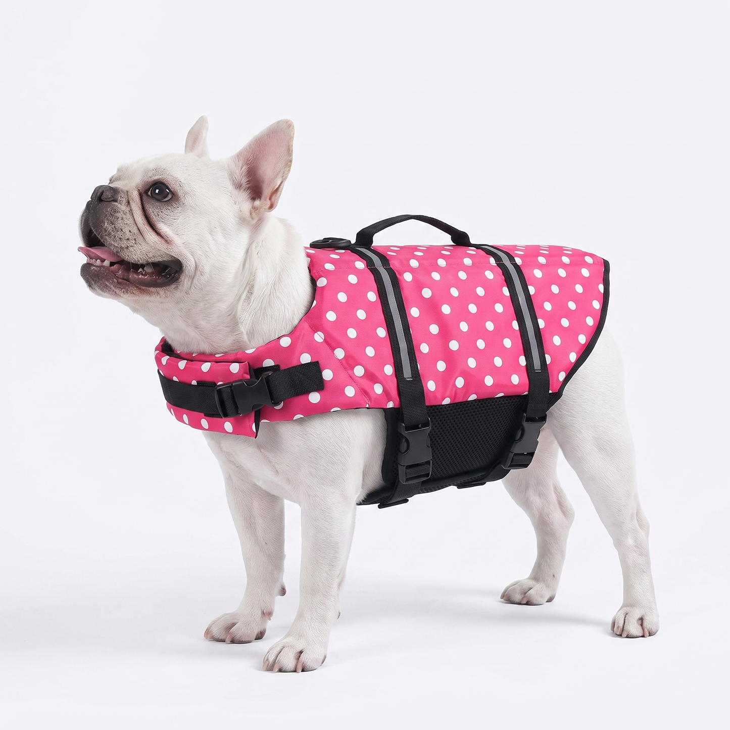 WAGFLOATY - SWIMMING JACKET