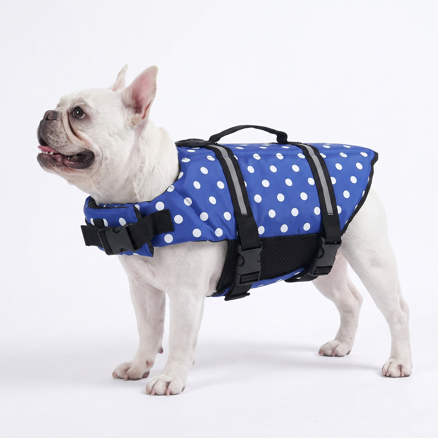 WAGFLOATY - SWIMMING JACKET