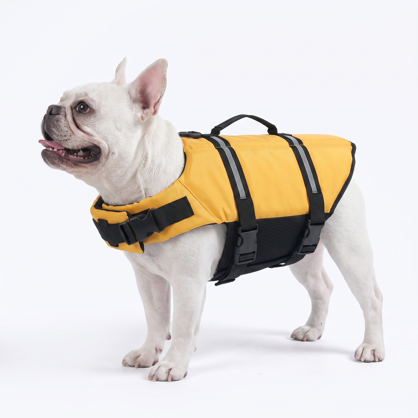WAGFLOATY - SWIMMING JACKET